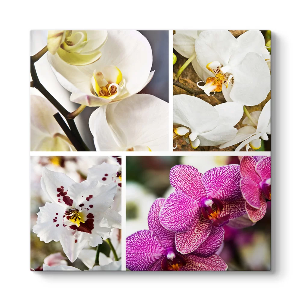Orkide Floral Tablo - Model 3